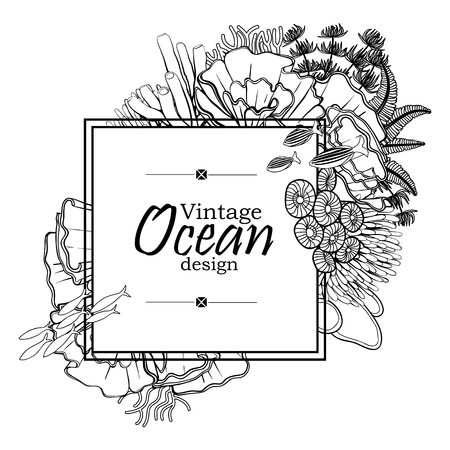 Fish Seashells Seaweed And Corals Drawn In Line Art Style On White Background Coloring Book Page Design Vector