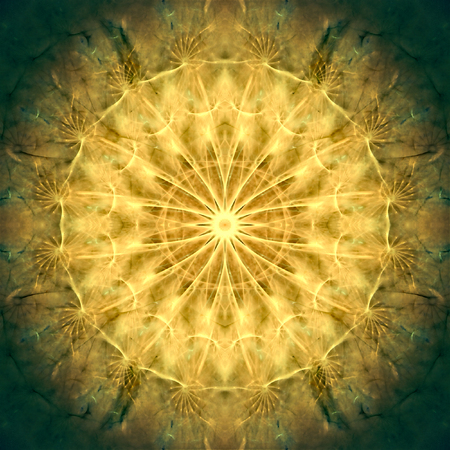 東洋のシームレスな壁紙タイル 花柄模様のファンタジー の写真素材 画像素材 Image