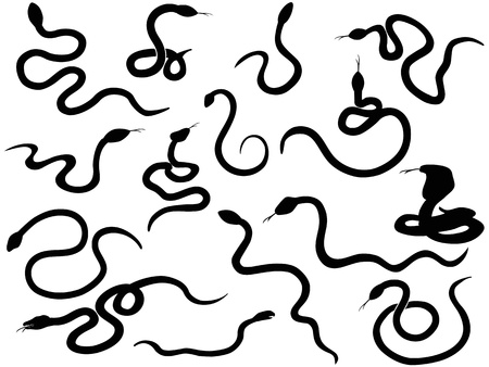 Isolated snake silhouettes on white background