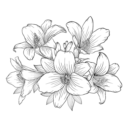 美しいモノクロの白と黒の花束ユリの背景に分離されました 手描き グリーティング カードと招待状結婚式 誕生日 バレンタインデー 母の日 その他の休日を設計します のイラスト素材 ベクタ Image