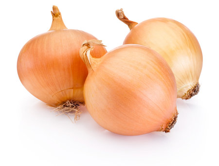 Oignons Dores Brillants Avec Racine Isole Sur Fond Blanc Banque D Images Et Photos Libres De Droits Image Oignons Dores Brillants Avec Racine Isole Sur Fond Blanc Banque D Images Et Photos Libres De Droits Image
