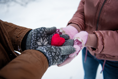 sneeuw bunny datingferomonen dating Party