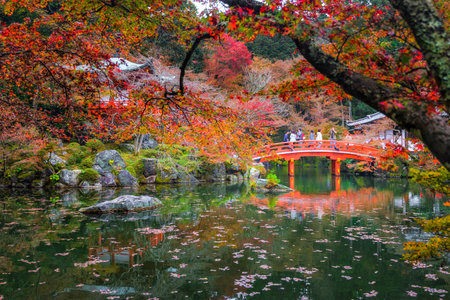 Tokyo%20Autumn%20Stock%20Photos%20and%20Images%20-%20123RF