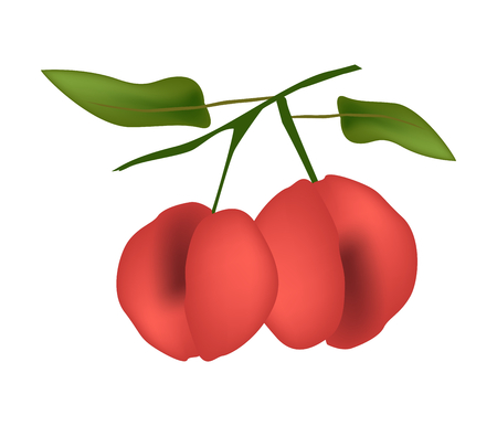 桃の木 のイラスト素材 ベクタ Image 桃の木 のイラスト素材 ベクタ Image