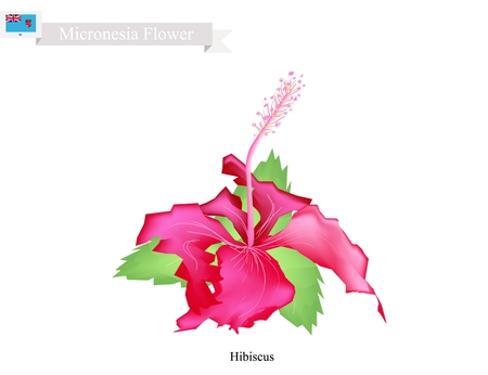 ハイビスカスの花のイラスト バヌアツの国民の花 ハイビスカスの花のイラスト バヌアツの国民の花