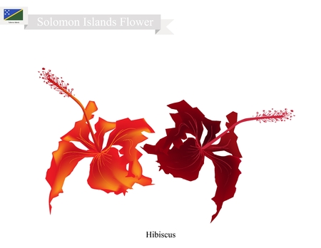 バヌアツの花 ハイビスカスの花のイラスト バヌアツの国民の花 のイラスト素材 ベクタ Image