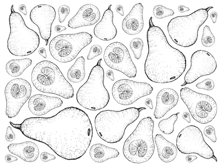 野菜 手描きスケッチ新鮮なバターナッツカボチャやバターナッツスカッシュのイラスト背景パターン カボチャは 栄養 摂取量と健康上の利点を改善するためのビタミン栄養素の一つです の写真素材 画像素材 Image