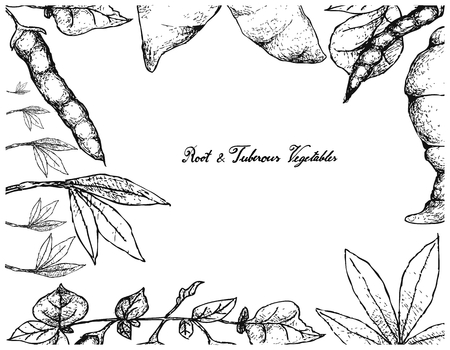 キャッサバ 葵根 Esculenta またはブラジルの葛 キャッサバ タピオカ 植物の葉と塊茎を持つ 手描き植物のベクトル図 のイラスト素材 ベクタ Image キャッサバ 葵根 Esculenta またはブラジルの葛 キャッサバ タピオカ 植物の葉と塊茎を持つ 手描き植物のベクトル図 のイラスト素材 ベクタ Image