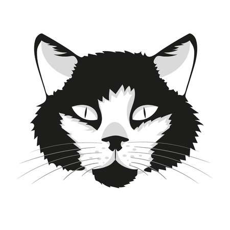 Cat print cat graphic cat illustrationcat designcat