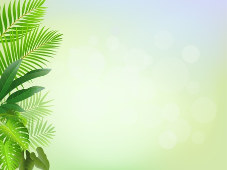 Nature background