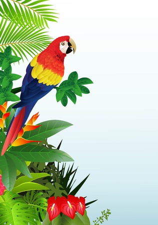 ジャングルの中でオオハシ鳥のイラスト素材・ベクター Image 9930250