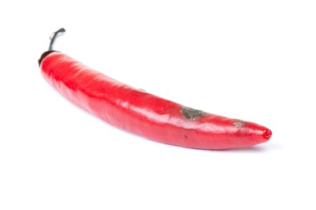 Red hot rotten pepper isolated on white background
