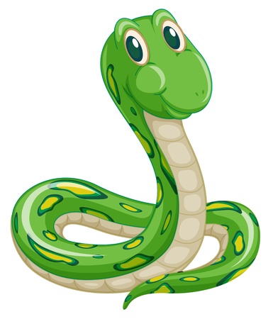 Illustration of green snake on a white background Stock Photo