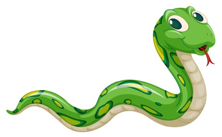 Illustration of green snake on a white background Stock Photo