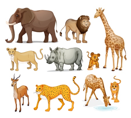 Illustration of animals in on a white background