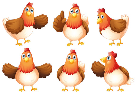 Illustration of the six fat chickens on a white background Vector Illustration