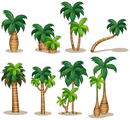 Illustraion of a set of palm tree Иллюстрация