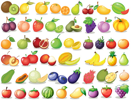 papaya: Tác giả của một tập hợp các trái cây