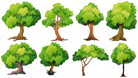 Illustration of a set of trees Иллюстрация
