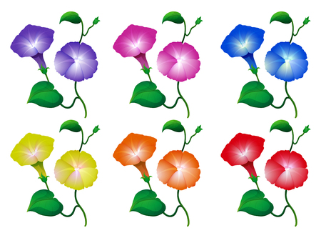 異なる色の朝顔の花のイラスト のイラスト素材 ベクタ Image 異なる色の朝顔の花のイラスト のイラスト素材 ベクタ Image