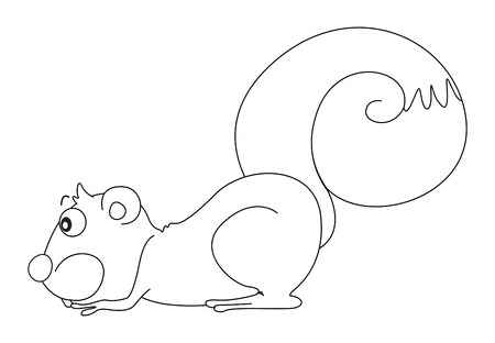 リス イラストの動物の概要 のイラスト素材 ベクタ Image リス イラストの動物の概要 のイラスト素材 ベクタ Image