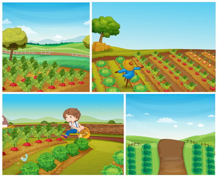 Four farm scenes with vegetables and scarecrow illustration