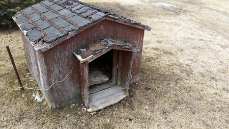 Image result for abandoned dog house