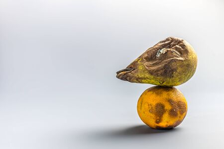 Ugly food. spoiled tangerine, orange and pear. mould on products