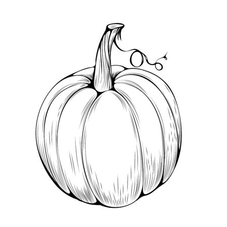 1 038 刻まれたカボチャ のイラスト素材 ベクター 123rf 1 038 刻まれたカボチャ のイラスト素材 ベクター 123rf