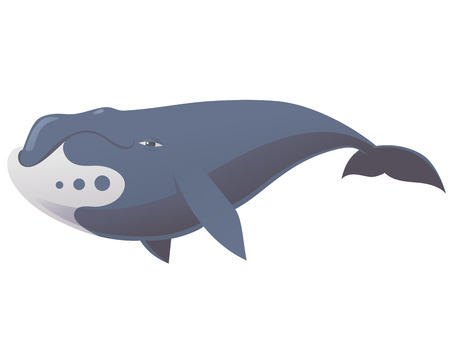 ザトウクジラ ホッキョククジラ マッコウクジラのイラスト 漫画 かわいいと面白いクジラのセットのイラスト素材 ベクタ Image