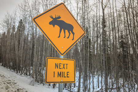 moose crossing sign near fairbanks alaska usa stock photo picture
