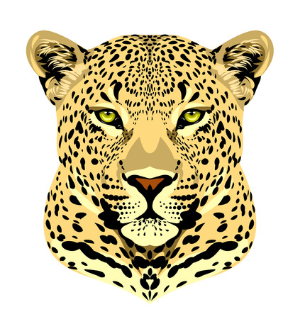 Leopard Face Cliparts, Stock Vector and Royalty Free Leopard Face  Illustrations