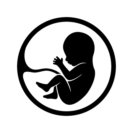 Fetus icon isolated on white background vector