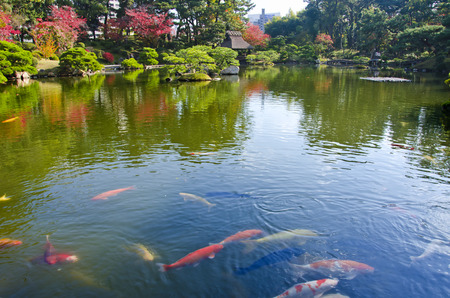 Shukkeien japanese garden in hiroshima japan