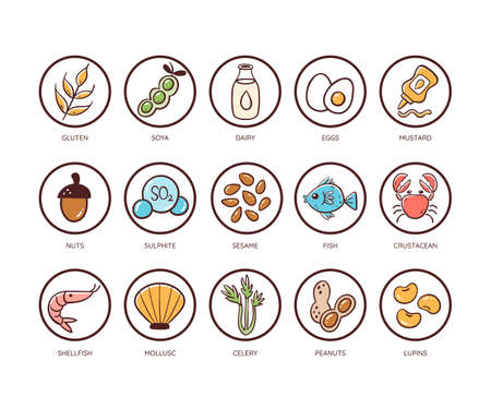 Jeu d'icônes d'allergènes alimentaires. icônes des principaux ingrédients qui doivent être déclarés comme allergènes. très utile pour les menus de restaurant et les repas. icônes vectorielles colorées. Banque d'images