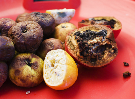 Lots of roten fruits. apples, lemon, garnet molden dark and dried up. environment conversion concept
