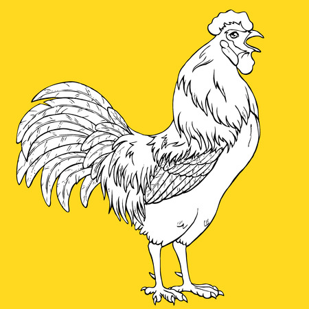 crowing rooster coloring on yellow background decorative chicken monochrome coloring page book a - Rooster Coloring Page crowing rooster coloring on yellow background decorative chicken monochrome coloring page book a - Rooster Coloring Page