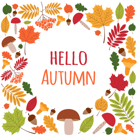 秋オークス要素 オークスの葉とドングリから花輪およびブラシの境界線を円 デザイン秋バナー チラシ 背景 壁紙 カード その他の要素 のイラスト素材 ベクタ Image 秋オークス要素 オークスの葉とドングリから花輪およびブラシの境界線を円 デザイン秋バナー チラシ 背景 壁紙 カード その他の要素 のイラスト素材 ベクタ Image