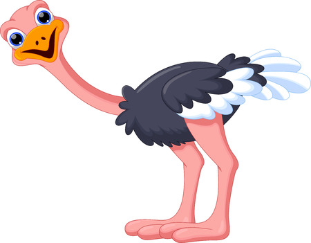Funny ostrich cartoon