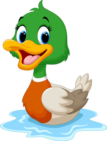 Cartoon duck swimming Vector Illustration