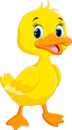 Cute duck cartoon isolated on white background