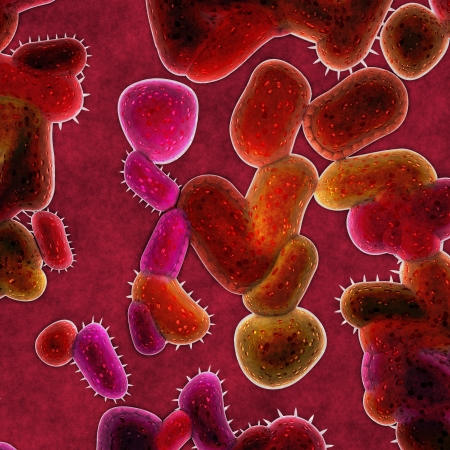 salmonella abstract essay Salmonella essay - download as word doc (doc / docx), pdf file (pdf), text file (txt) or read online essay describing the pathogen salmonella. salmonella abstract essay Salmonella essay - download as word doc (doc / docx), pdf file (pdf), text file (txt) or read online essay describing the pathogen salmonella.