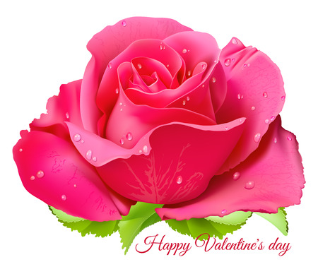 121 131 Pink Rose Stock Vector Illustration And Royalty Free Pink Rose Clipart 121 131 Pink Rose Stock Vector Illustration And Royalty Free Pink Rose Clipart
