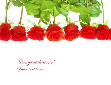 congratulations border