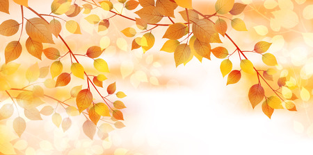 紅葉の秋の風景の背景 のイラスト素材 ベクタ Image 紅葉の秋の風景の背景 のイラスト素材 ベクタ Image