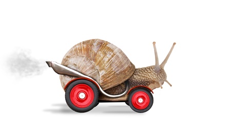 Speedy snail like car racer. Concept of speed and success. Wheels are blur because of moving. Isolated on white background