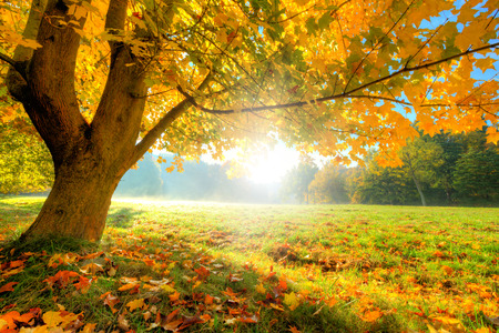 nature scenery stock photos