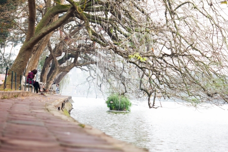 The landscape of Saigon: Hồ Hoàn Kiếm, Hà Nội, Việt Nam