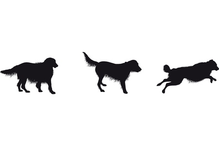 さまざまな活動を行う犬シルエットのセット ジャンプ 実行 吠える犬 のイラスト素材 ベクタ Image さまざまな活動を行う犬シルエットのセット ジャンプ 実行 吠える犬 のイラスト素材 ベクタ Image