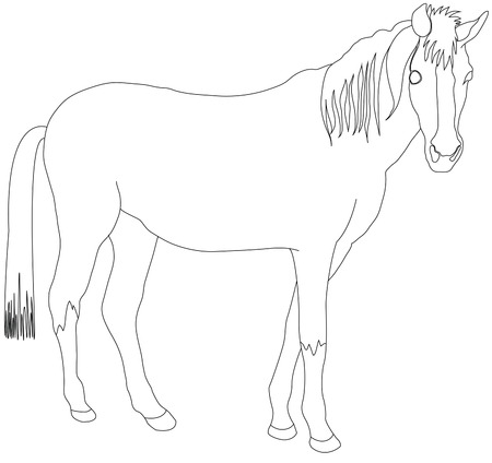 horse outlines
